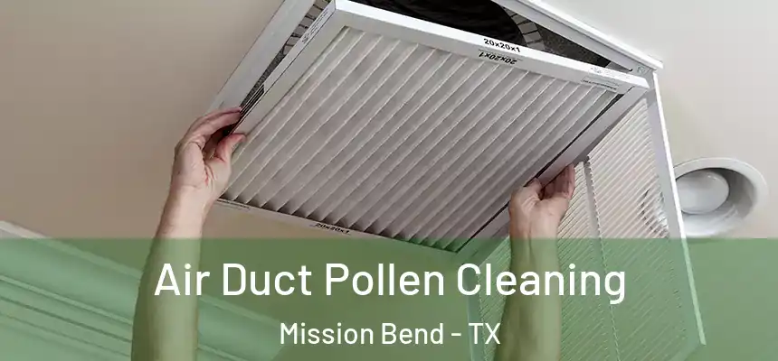 Air Duct Pollen Cleaning Mission Bend - TX