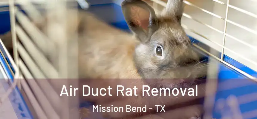 Air Duct Rat Removal Mission Bend - TX