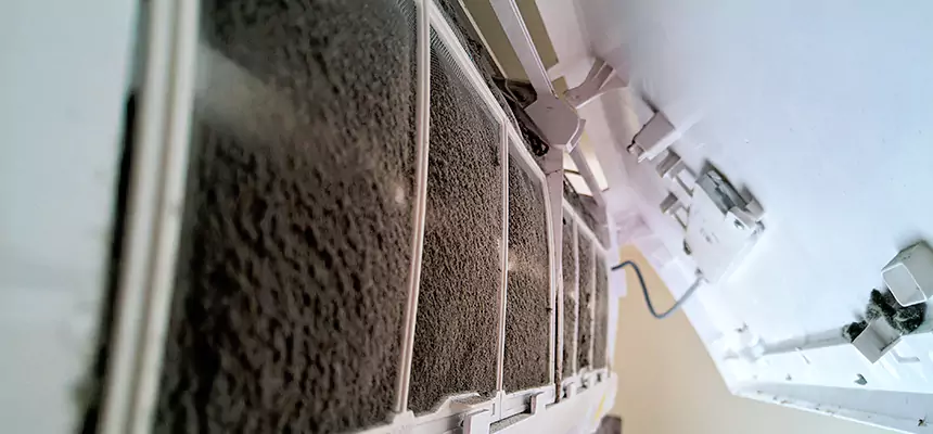 Preventive Air Duct Bacteria Removal in Mission Bend