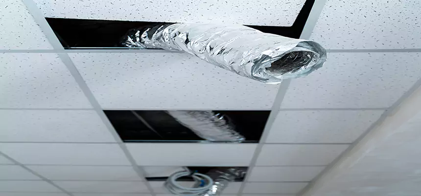 Our Air Duct Pet Hair Removal Services in Mission Bend, TX