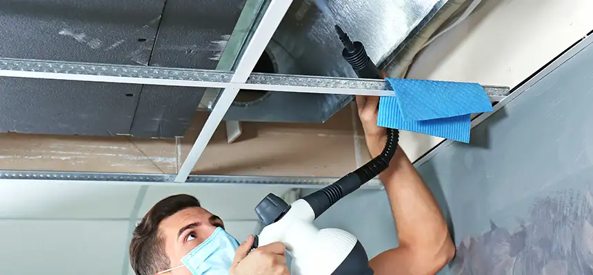 Our Air Duct Rodent Removal Services in Mission Bend, TX