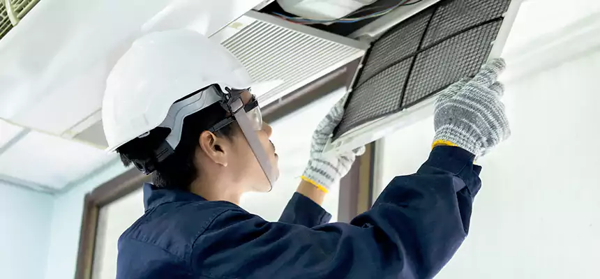 Our Mold & Mildew Removal from Air Ducts Services in Mission Bend, TX