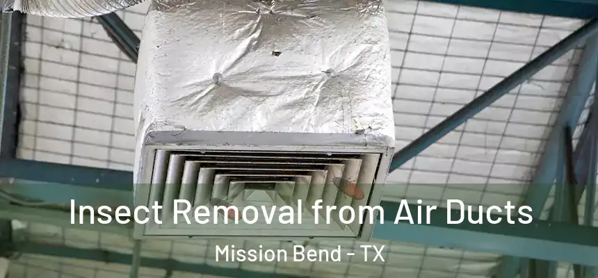 Insect Removal from Air Ducts Mission Bend - TX