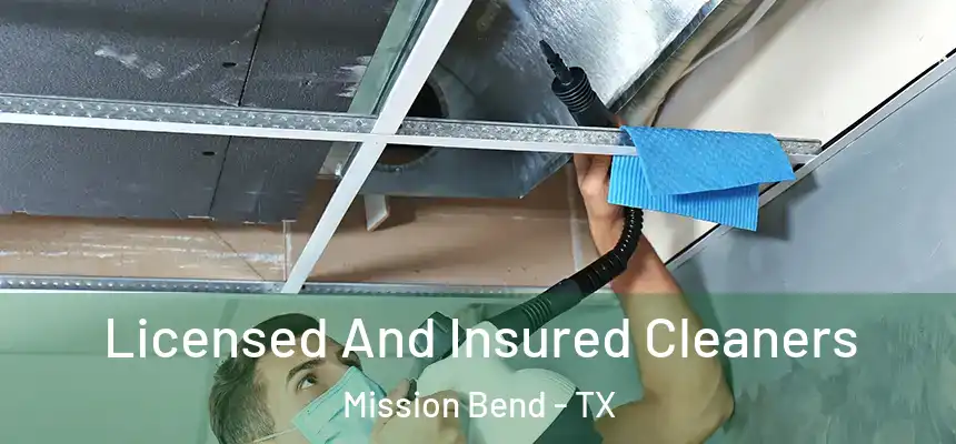 Licensed And Insured Cleaners Mission Bend - TX