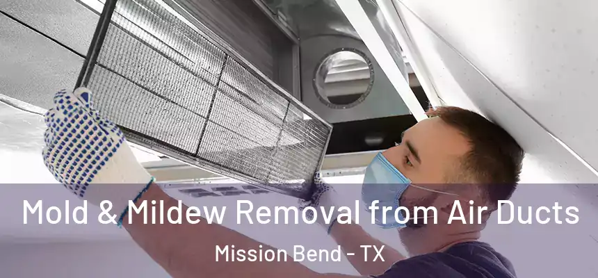 Mold & Mildew Removal from Air Ducts Mission Bend - TX