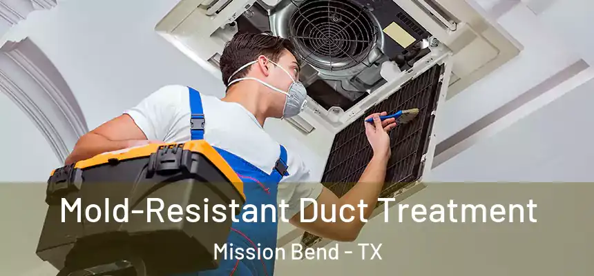 Mold-Resistant Duct Treatment Mission Bend - TX