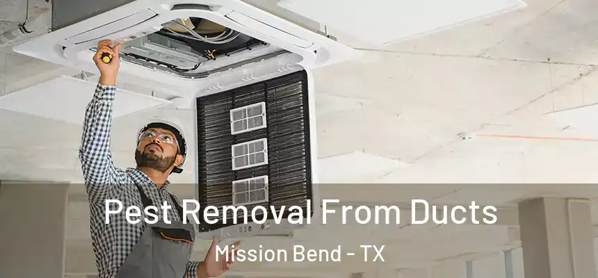 Pest Removal From Ducts Mission Bend - TX