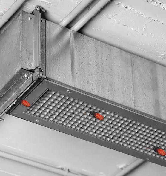 About Air Duct Cockroach Removal in Mission Bend, TX