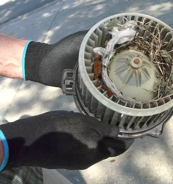 About Air Duct Rat Removal in Mission Bend, TX