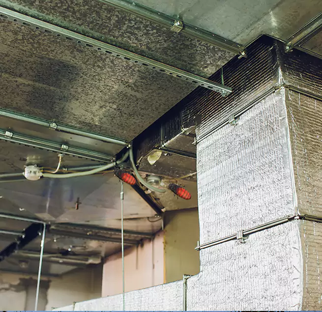 Why Homeowners & Businesses Trust Us in Mission Bend, TX?