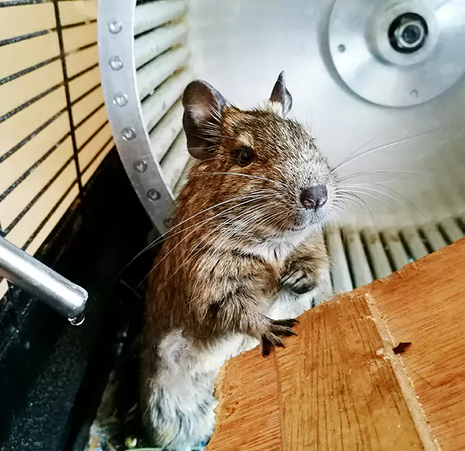 Why Homeowners & Businesses Trust Us Mission Bend, TX?