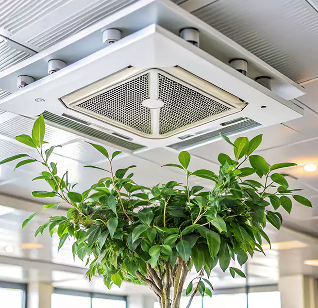 Why Homeowners & Businesses Trust Us in Mission Bend, TX?